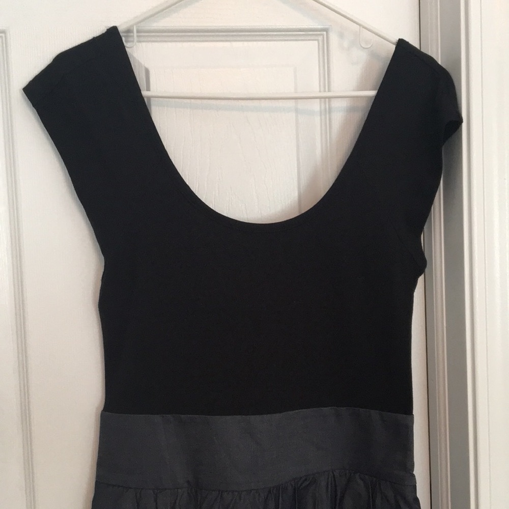 Express Dress - Picture 3 of 3